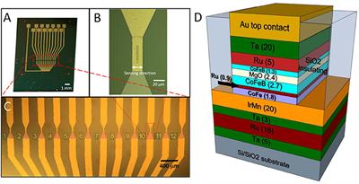 Biocompatibility of a Magnetic Tunnel Junction Sensor Array for the Detection of Neuronal Signals in Culture